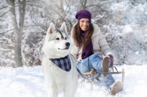Tiersitterin mit Hund im Schnee
